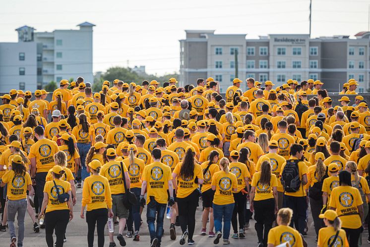 1_vm-sea-of-bright-yellow.jpg