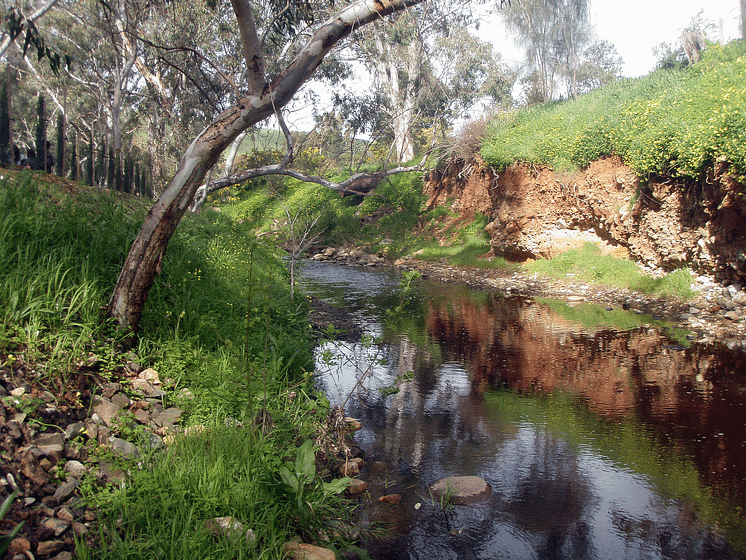 Jacob's Creek 