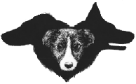 Blandis DesignerDogs