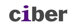 CIBER Norge AS