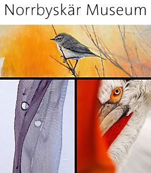 Norrbyskär Museum