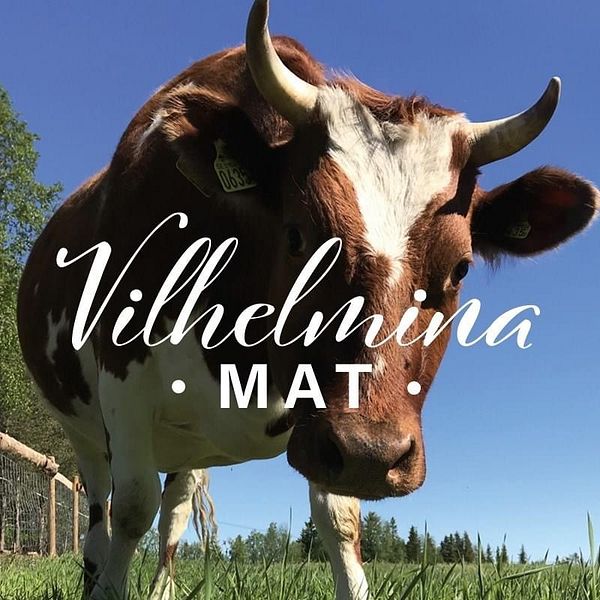 VilhelminaMat 