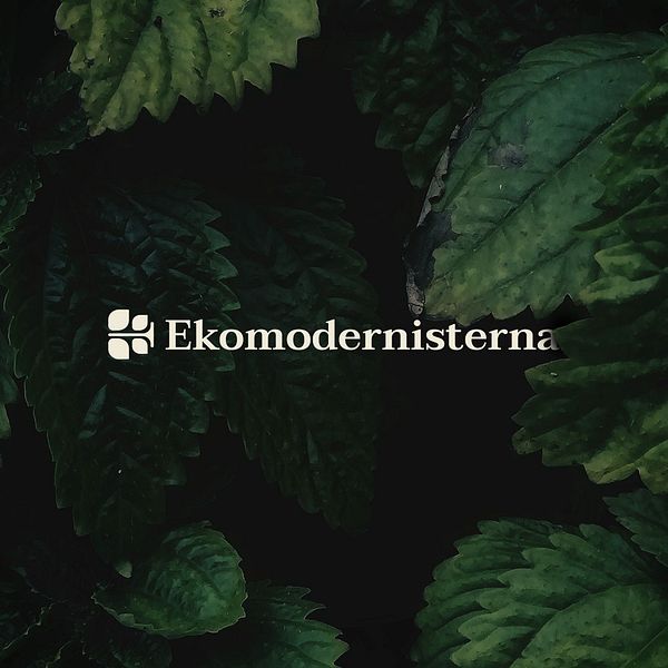 Ekomodernisterna