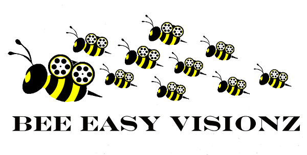 Bee Easy Visionz