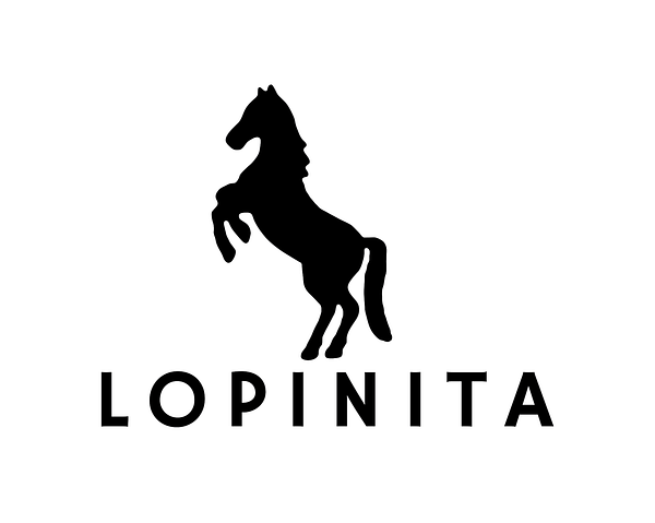 Bokförlaget Lopinita