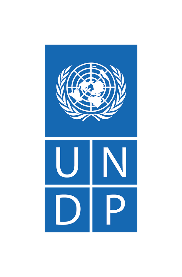 UNDP