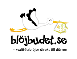 Blöjbudet i Sverige AB