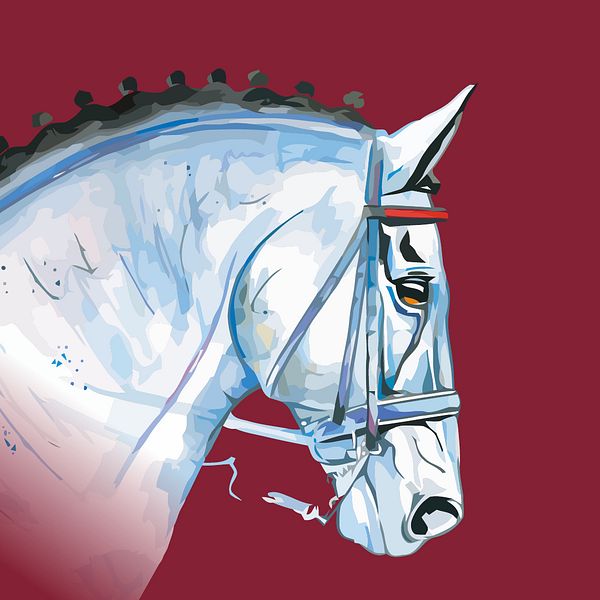 Amadeus Horse Indoors GmbH