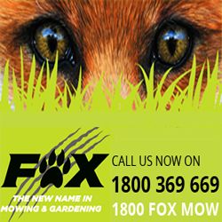 FOX MOWING QLD