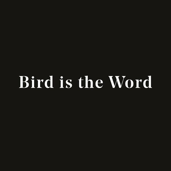 Bird is the Word