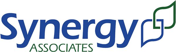 Synergy Associates Ltd