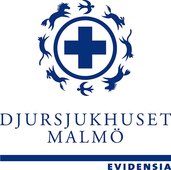 Djursjukhuset i Malmö