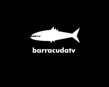 Barracuda Film & TV