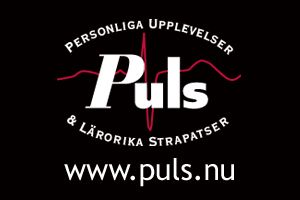 Puls Sverige AB