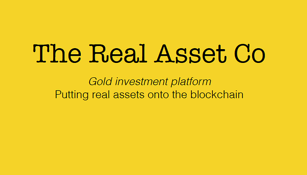 The Real Asset Co.