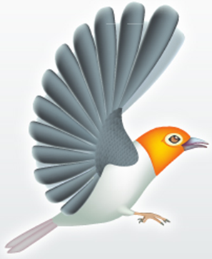 Finch Sverige