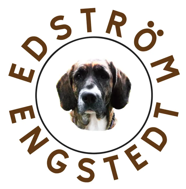 Edström & Engstedt förlag