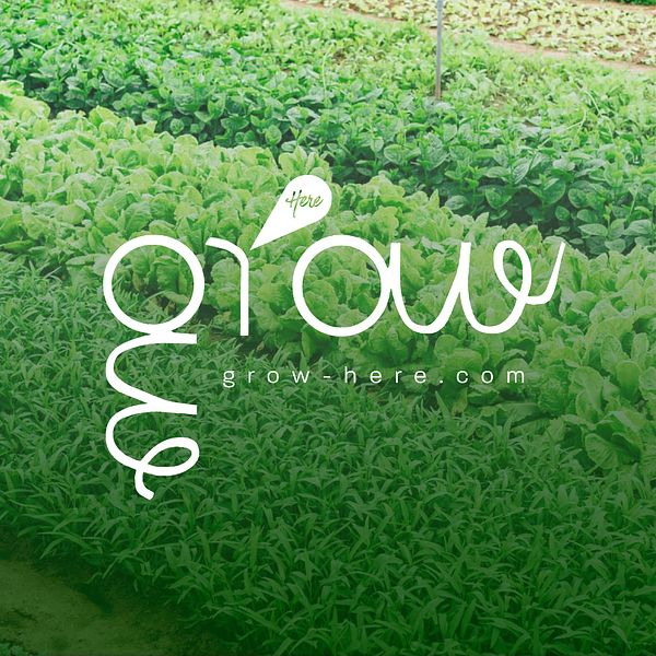 Grow Here