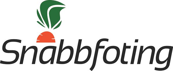 Snabbfoting Group AB