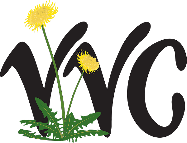 VVC