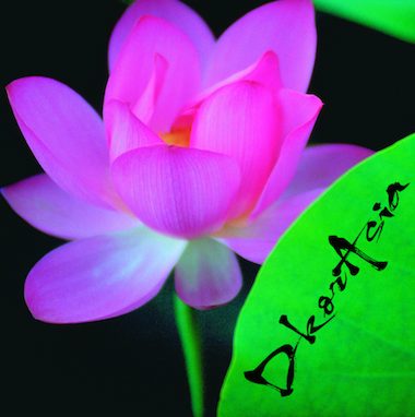 DkorAsia