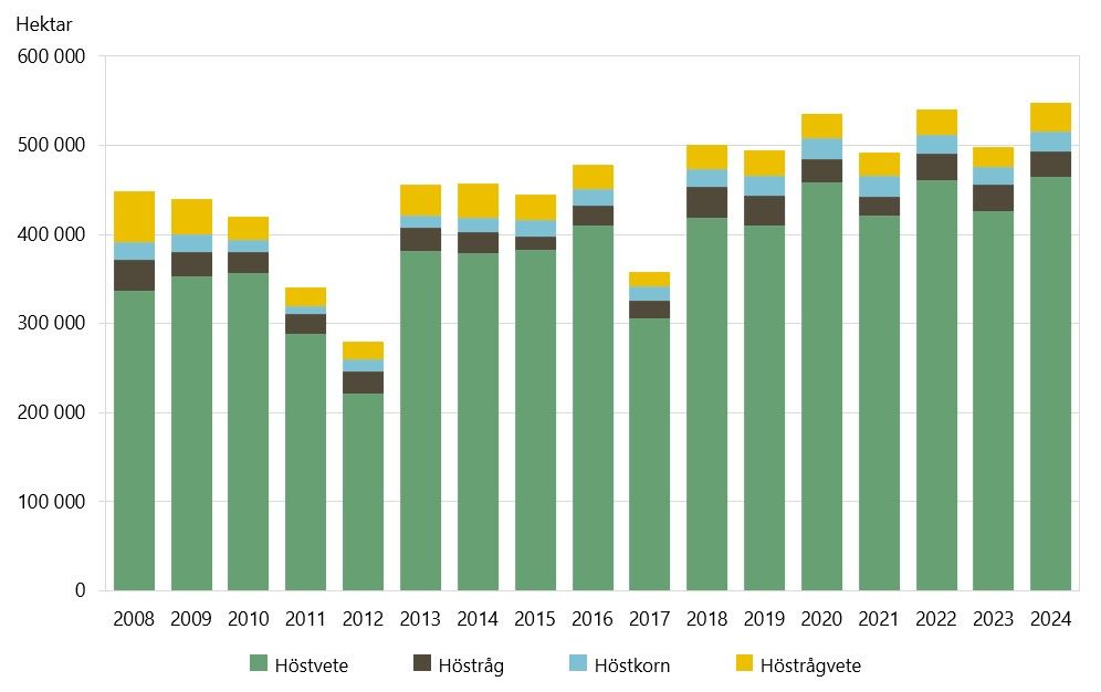 Höstsådda arealer av spannmål 2008–2024