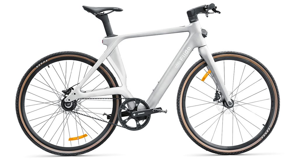 Fiido C31 Carbon Electric Bike