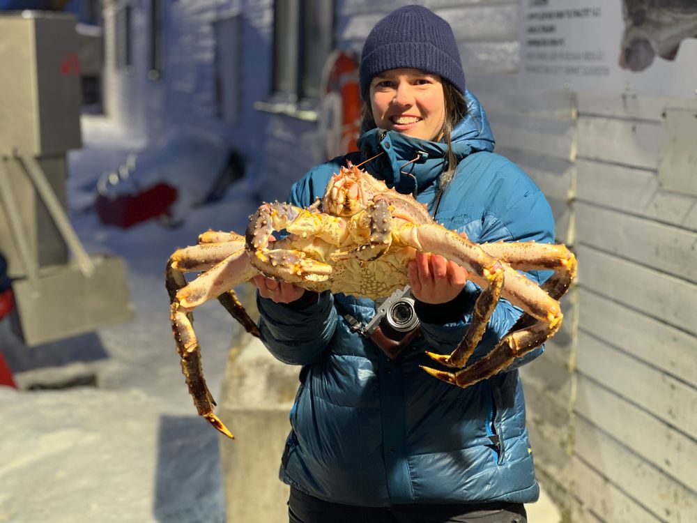 Kvinne som viser frem en stor kongekrabbe