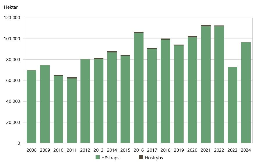 Höstsådda arealer av oljeväxter 2008–2024