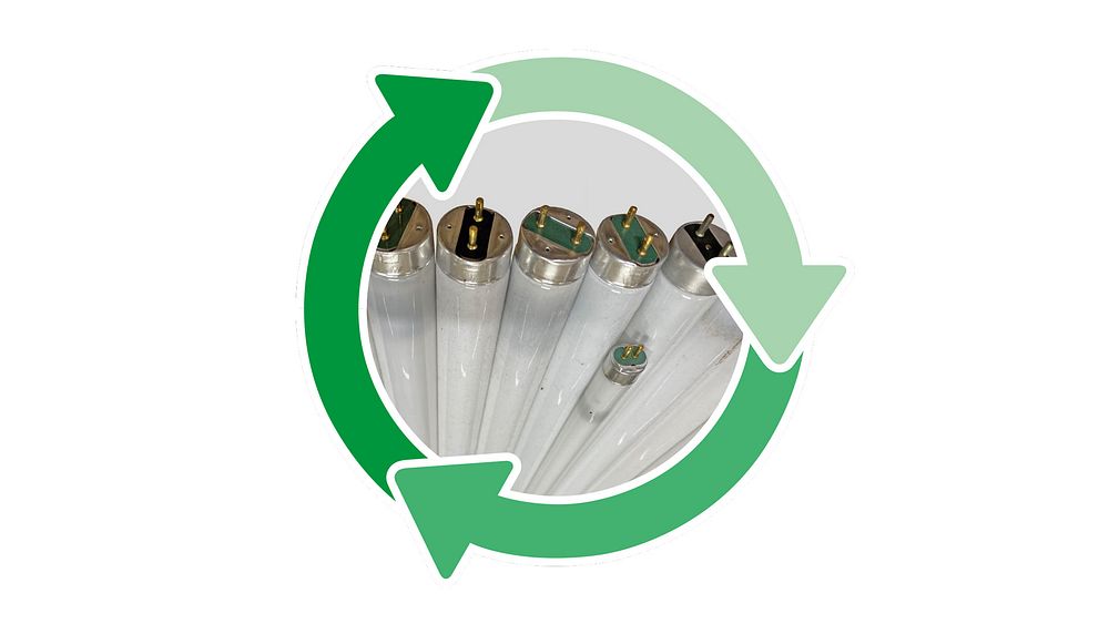 Light renovation with LTS Licht & Leuchten GmbH