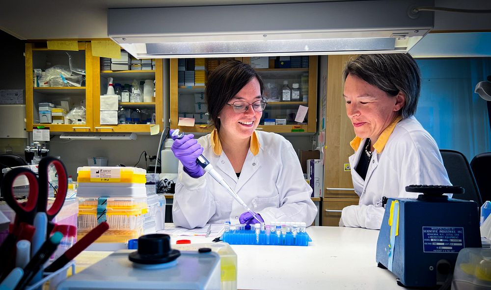 På bild: Postdoc Maria Öberg och kollega arbetar i labbet. Foto: Elin Lindström