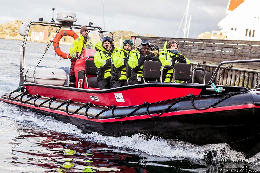 Bilde av rib-tur ut til oppdrettsanleggene