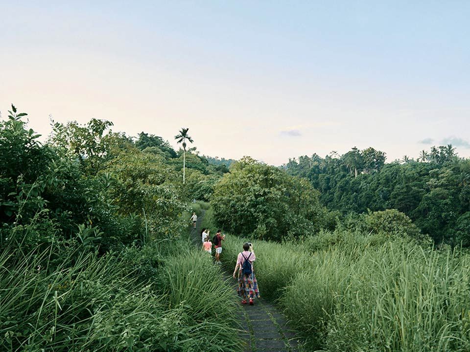 The walking track Campuhan Ridge Walk