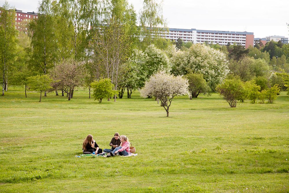 Järva DiscGolfPark före 2021