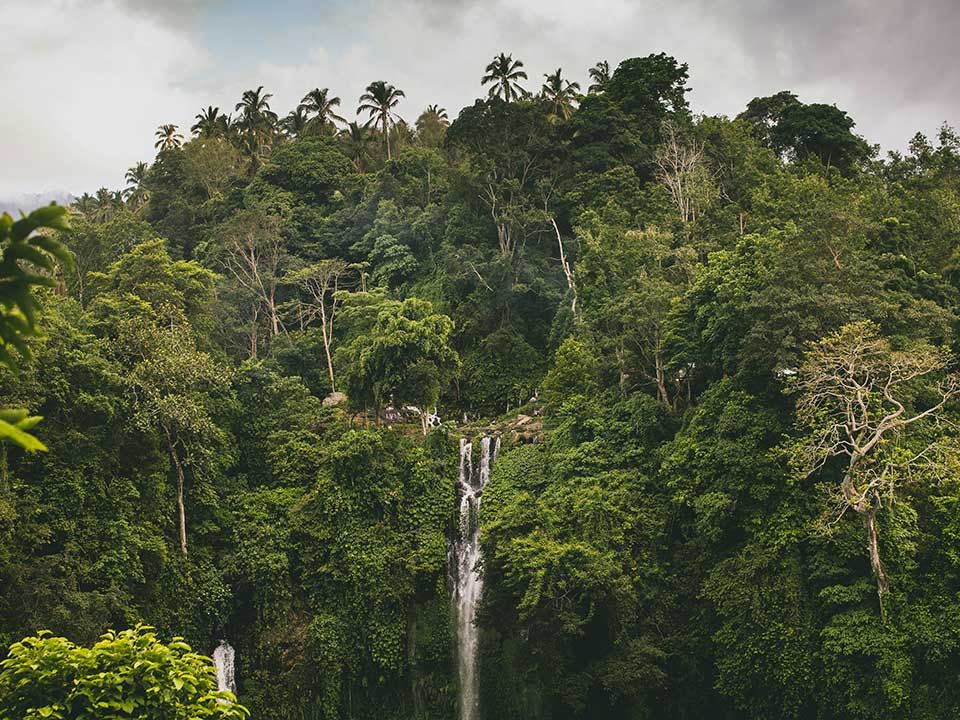One of the Hidden Waterfalls in Bali