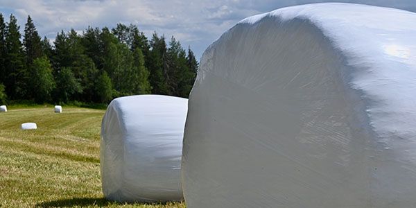 För att få rätt svar måste grovfoderprovet analyseras med rätt kalibrering, oavsett om det är ensilage, hösilage eller hö.