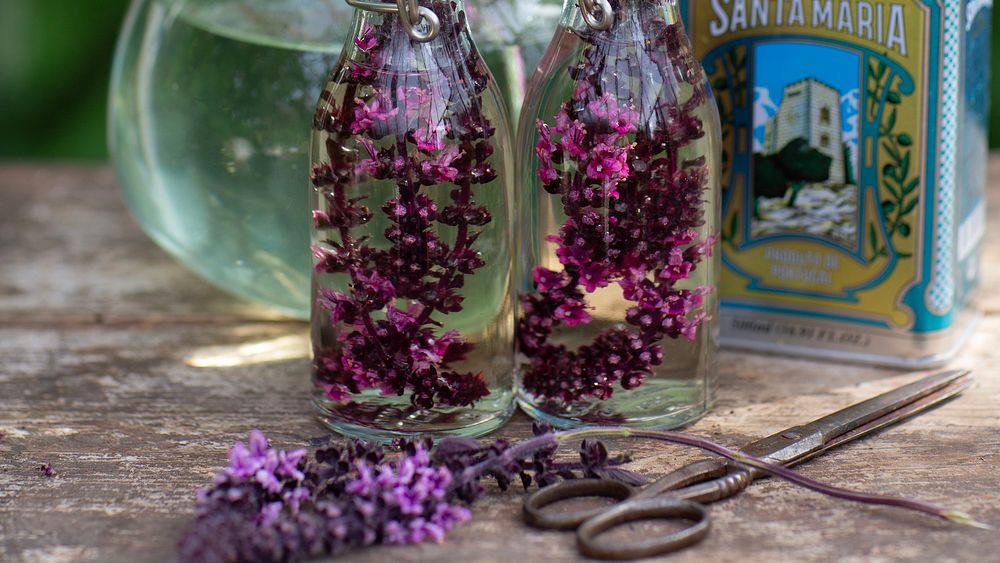 ”Min vinäger, kryddad med stjälkar och blommor, är helt oemotståndligt god. Och har du sett den vackra färgen?”