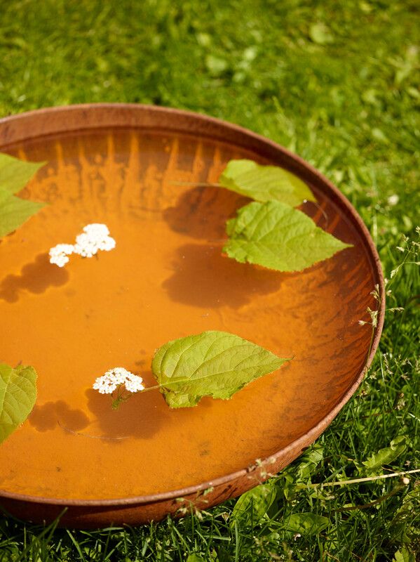 Sommer