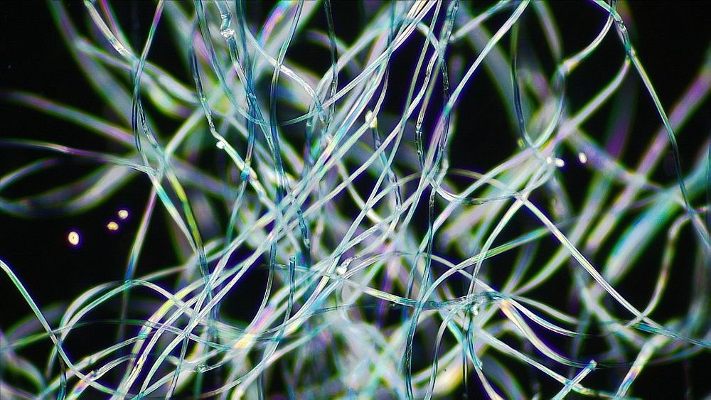 Polyester fleece fibres pictured under a microscope