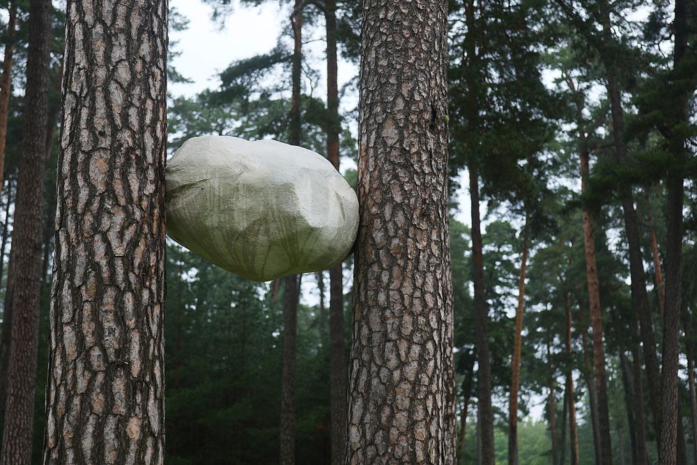 Öppna dörrar
