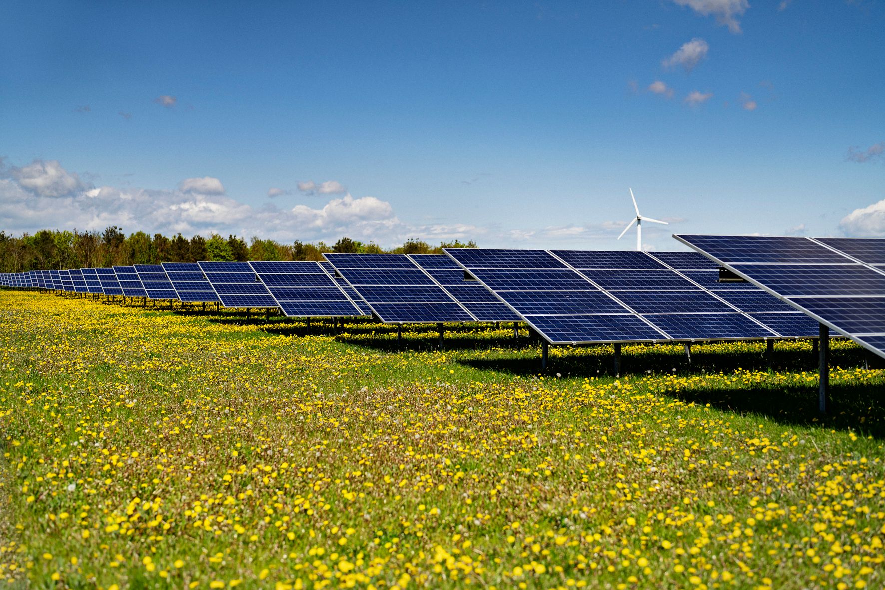 Arla og Better Energy indgår rekordstor grøn elkøbsaftale om fire nye solcelleparker