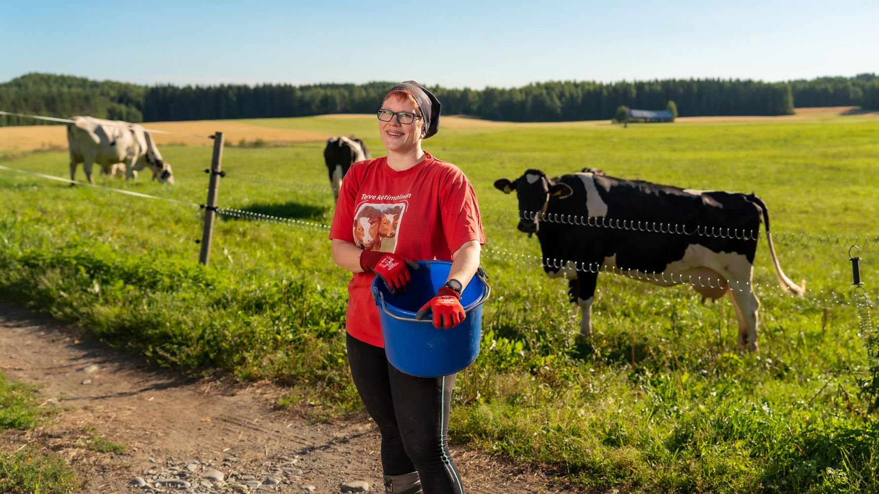 Arlan maitotiloilla tuotetaan kultamitalin arvoista maitoa 