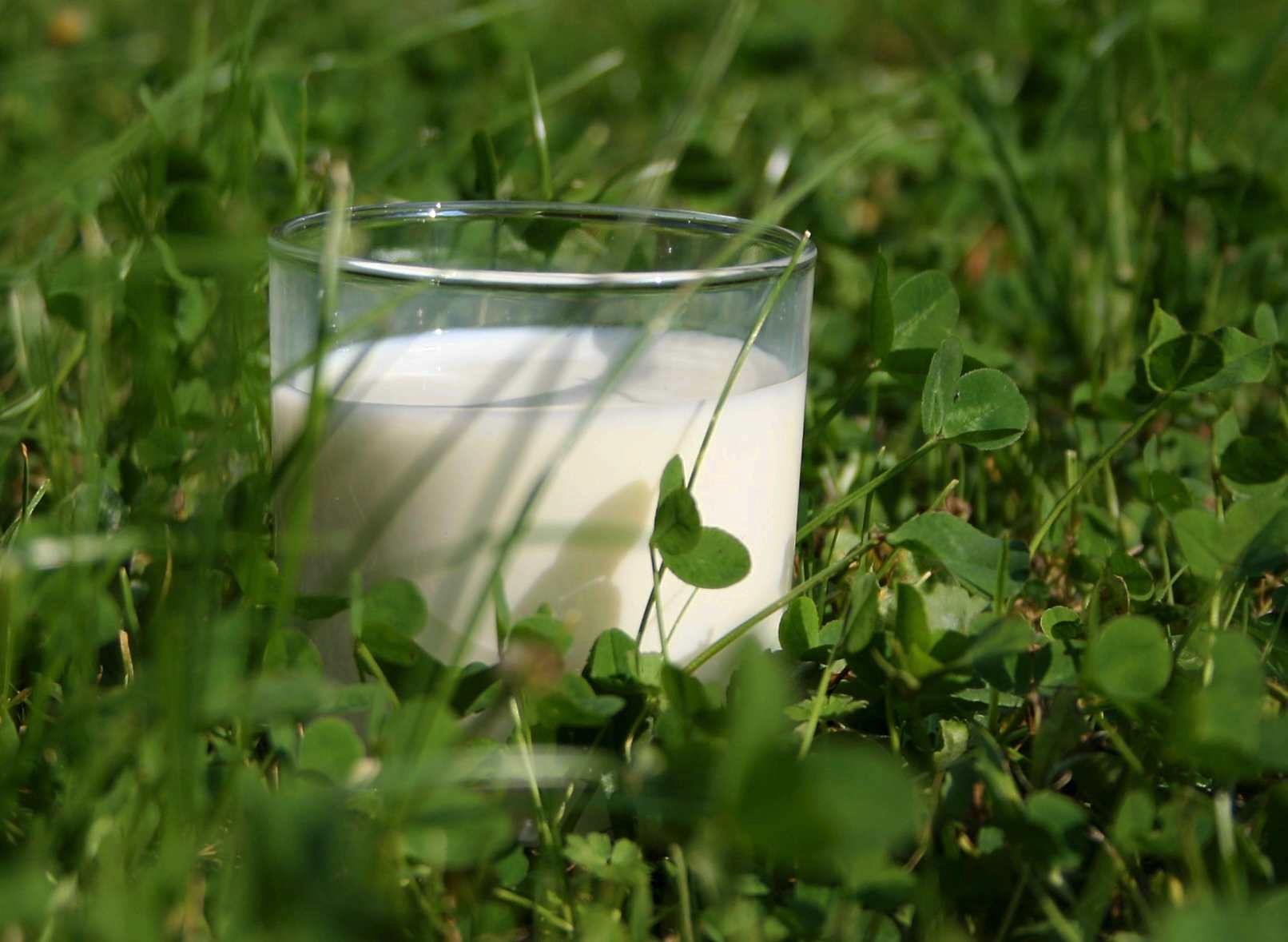 Arla Foods amba to increase its October milk price