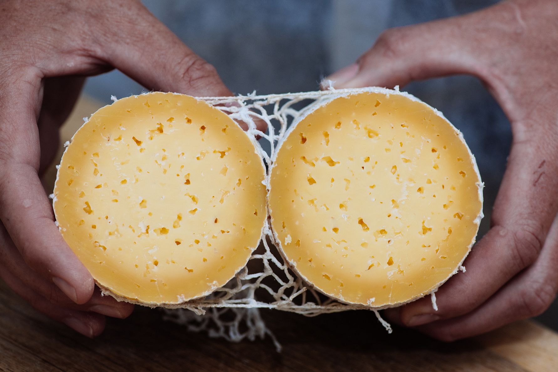 Arla Unika åbner Danmarks første center for osteforædling