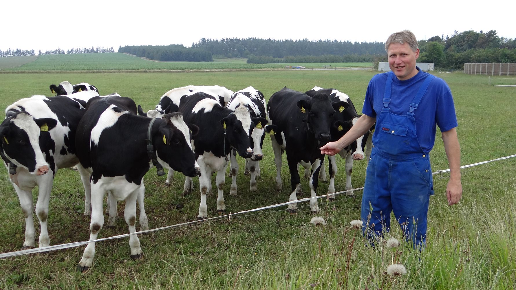 Vestjysk råmælksproducent vinder gastronomisk hæderspris