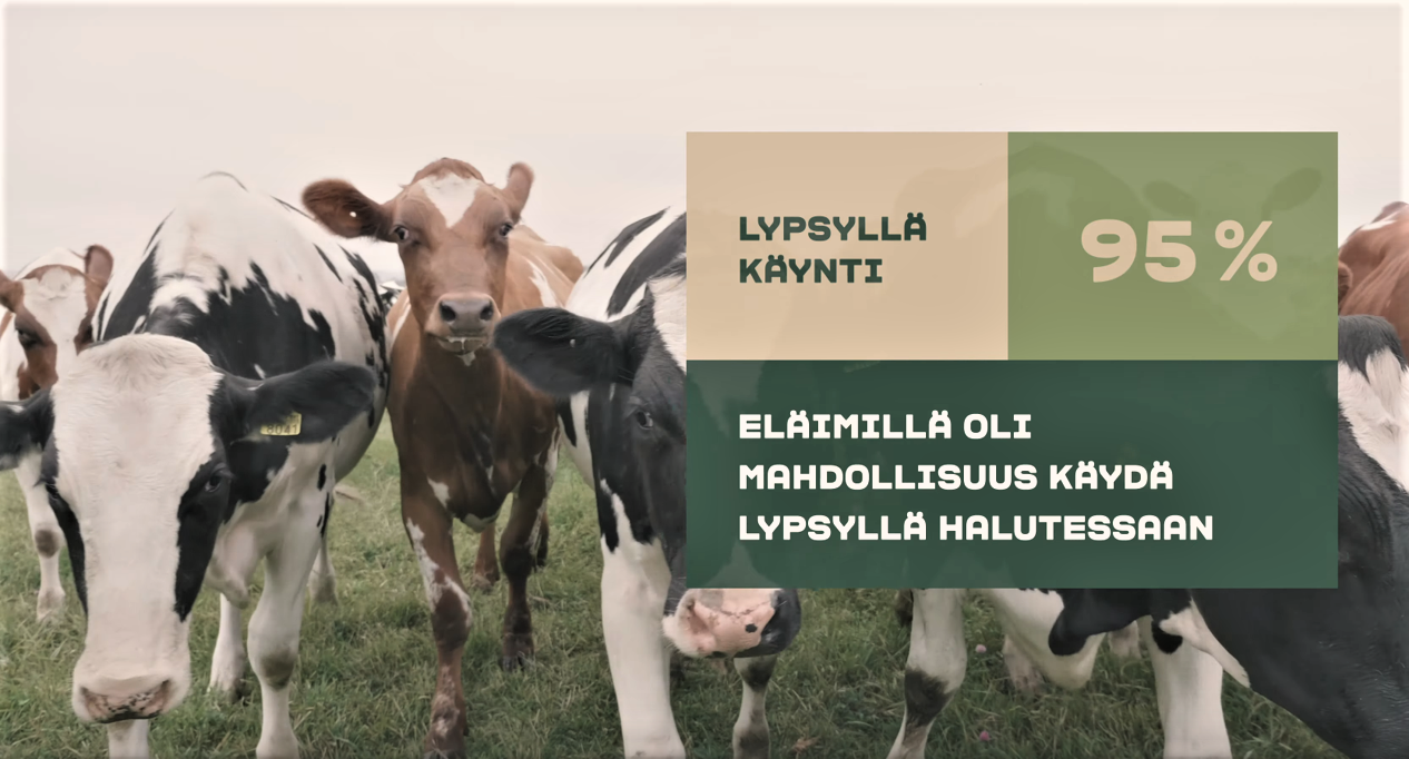 ​Arla Suomi julkisti eläinten hyvinvointia seuraavan tekoälysovelluksen – “Halusimme luoda maailman läpinäkyvimmän maidon syntymatkan”